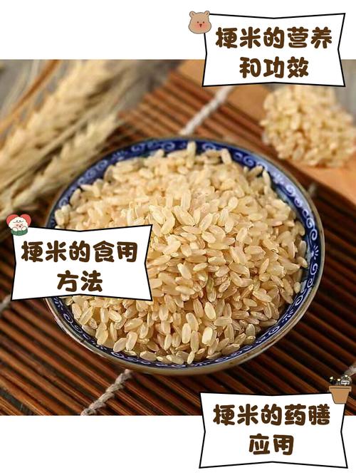厚米梗的含义是什么？厚米是什么意思？
