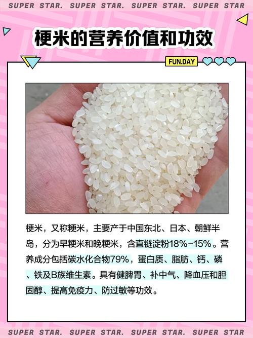 厚米梗的含义是什么？厚米是什么意思？