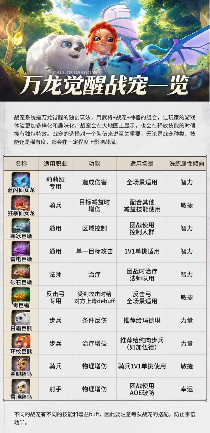 仙女龙装备选择详解：从入门到精通