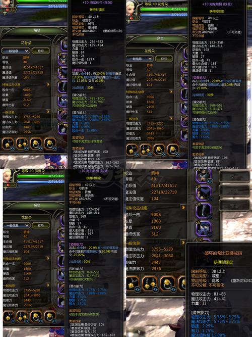 仙女龙装备选择详解：从入门到精通