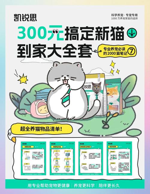新版猫咪2.0怎么升级？一分钟教你轻松完成更新