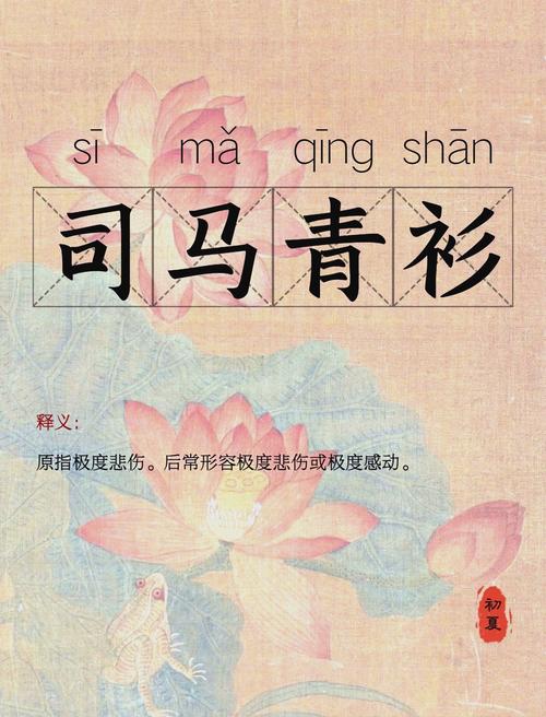 司马青衫是形容什么典故？江州司马青衫湿就是这个出处。