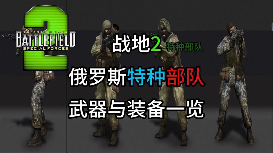 战地之王2武器装备大全及使用技巧详解