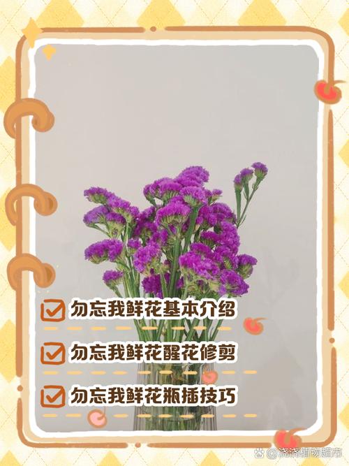 勿忘我无法存档怎么办？一招教你搞定存档！