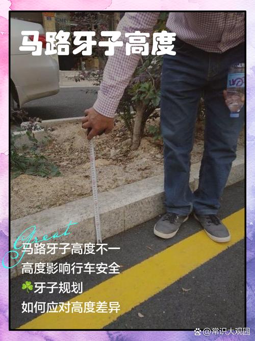 大连马路牙子有啥不一样的地方？跟别的城市比比看就知道！
