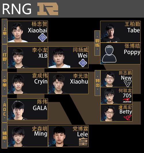 RNG战队成员资料大全，年龄、擅长英雄都在这里
