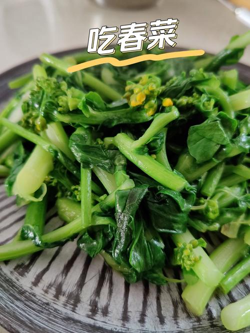 咬春吃哪种蔬菜好？推荐这几款营养又美味的蔬菜！