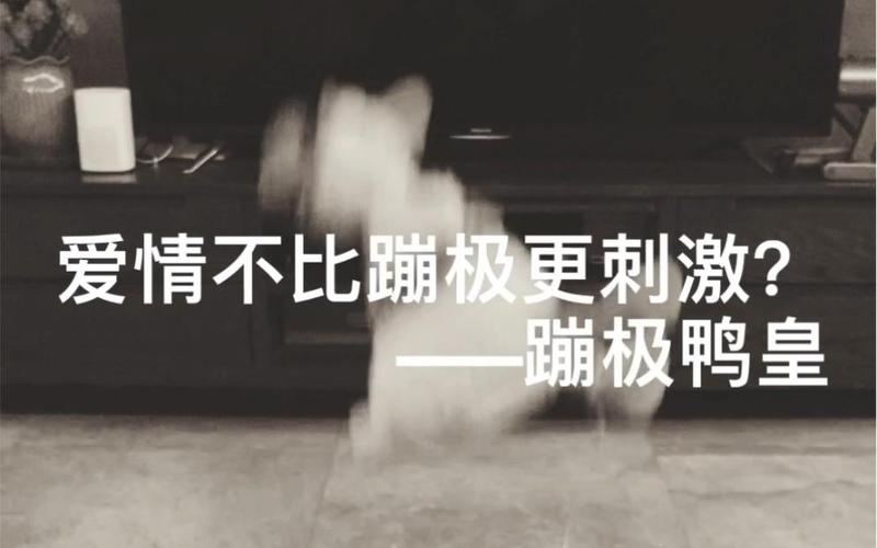 寻找刺激？试试这款整人专家小游戏，欢乐不停！