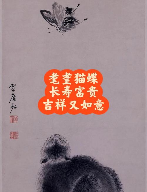 猫蝶的寓意什么？原来它象征着这些美好事物！