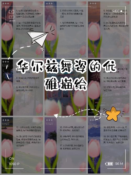 体验浪漫华尔兹：一场心灵的优雅盛宴