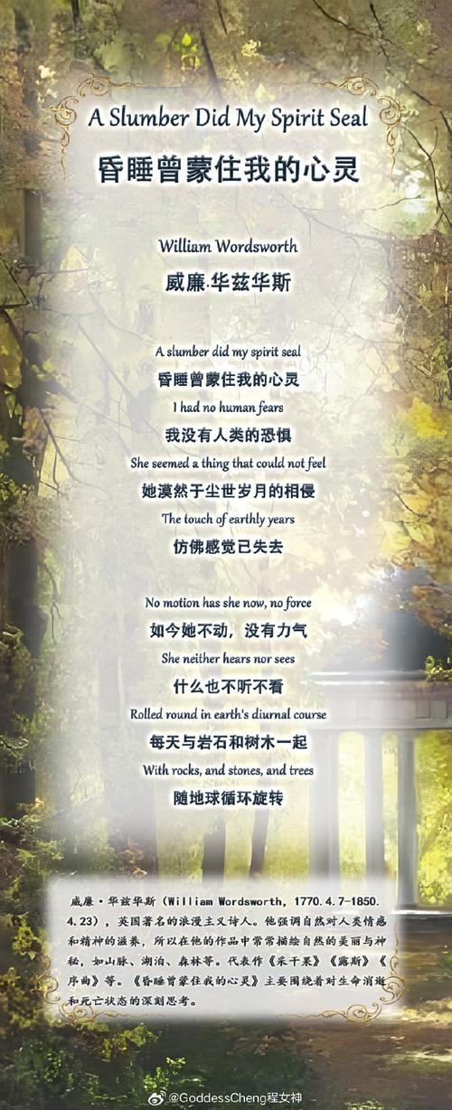 体验浪漫华尔兹：一场心灵的优雅盛宴