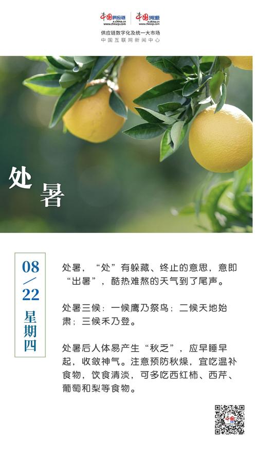 处暑的处是几声呢？一分钟教你轻松掌握！