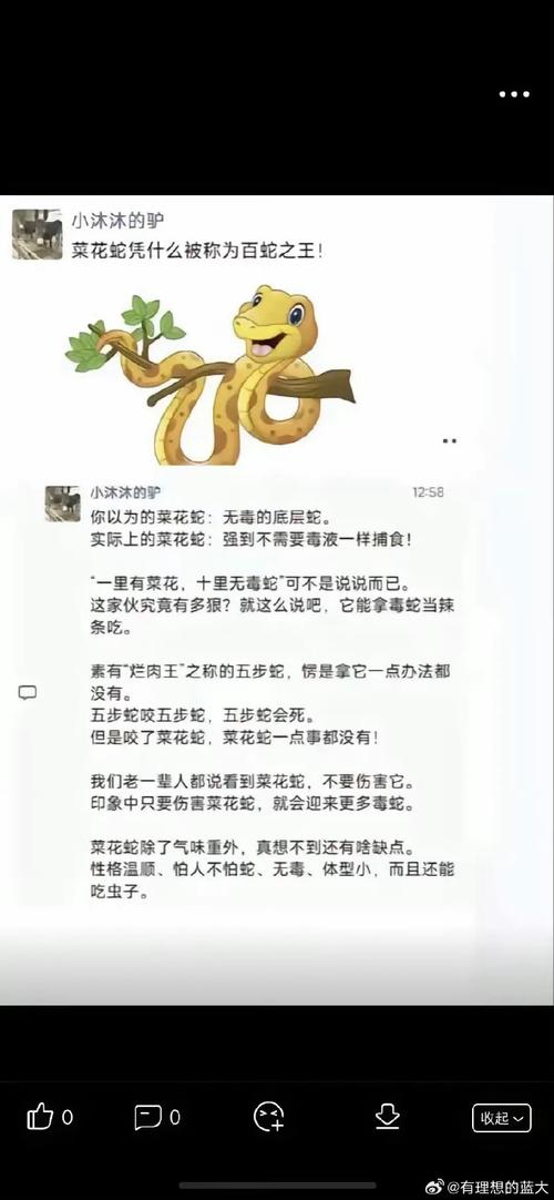 为什么他被称为打孔巨匠？背后原因令人敬佩！