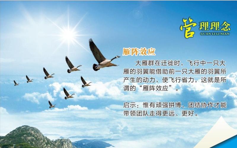 为什么是雁阵斜飞降东南？揭秘候鸟迁徙的路线