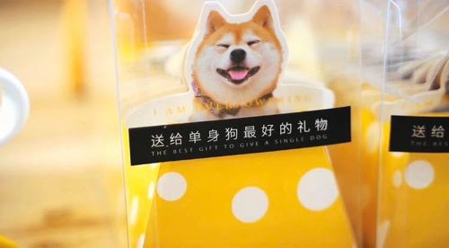 七夕节的布谷鸟：单身狗的专属节日安慰？