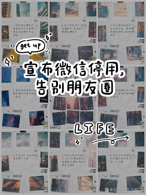 微信圈子停运别慌！这些替代工具一样好用