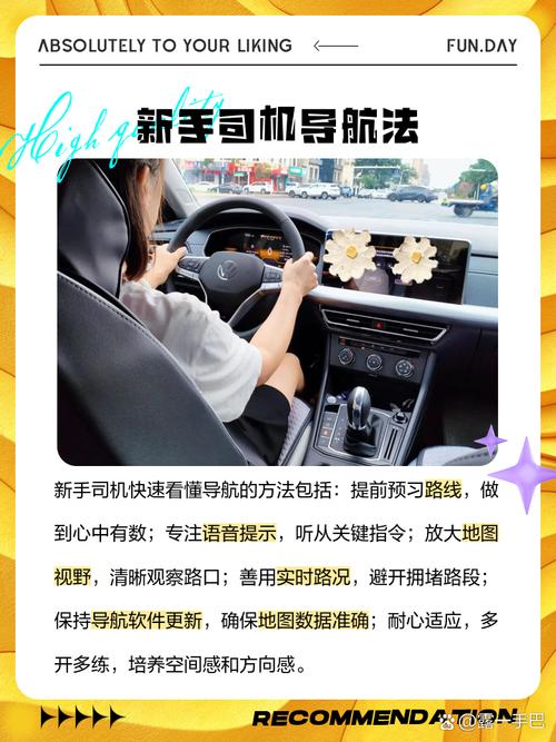 导航犬怎么用才能发挥最大作用？这些核心功能你一定要知道！
