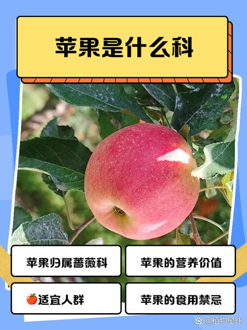 qvod 苹果为什么不能用了？了解原因和解决方法！