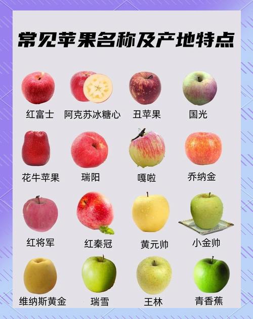 qvod 苹果为什么不能用了？了解原因和解决方法！