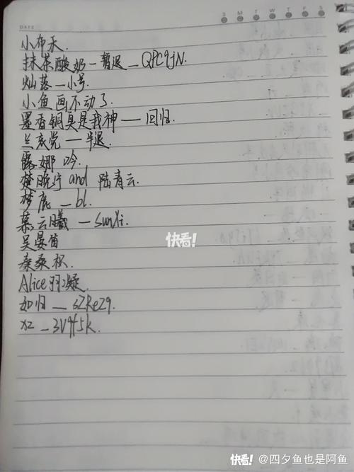 新手必看用户名怎么写？记住这几点轻松搞定不求人！