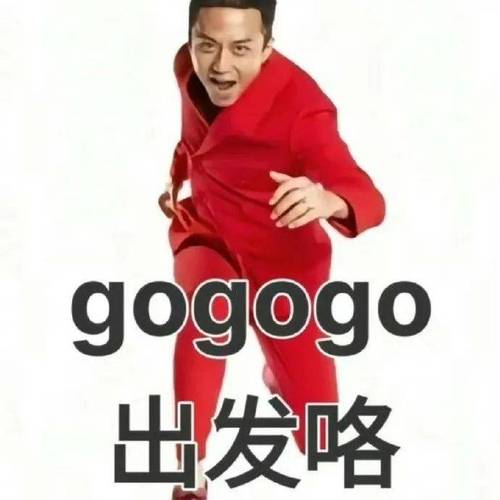 gogogo是什么意思？新手快速入门指南看这里！