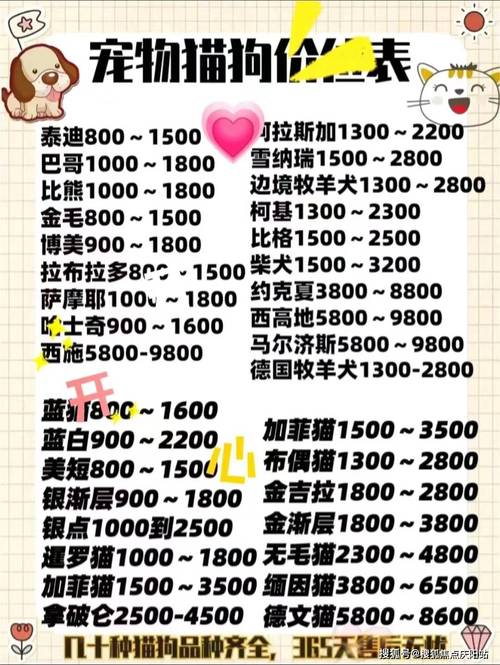 撒不溜PIPO价格贵吗？在哪买更划算？