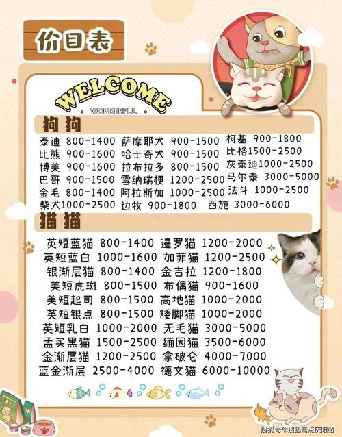 撒不溜PIPO价格贵吗？在哪买更划算？