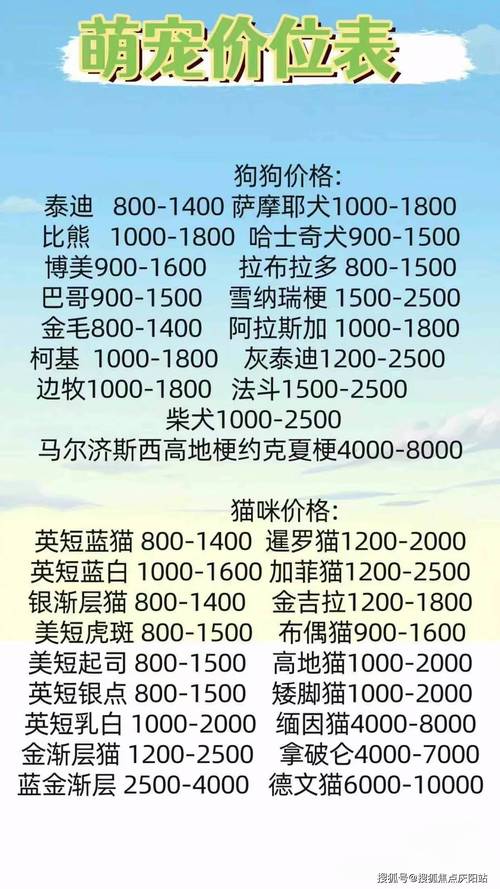 撒不溜PIPO价格贵吗？在哪买更划算？