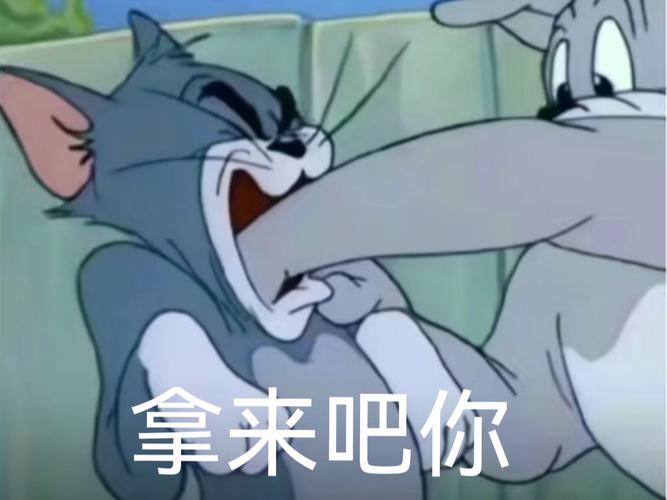 拿来吧你表情包，让你成为朋友圈最靓的仔！