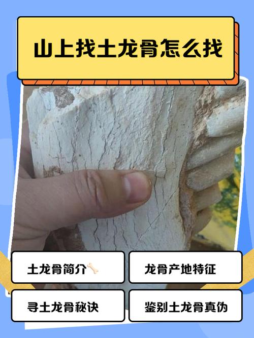 怎么去龙骨荒野更省钱？省钱攻略分享给你！