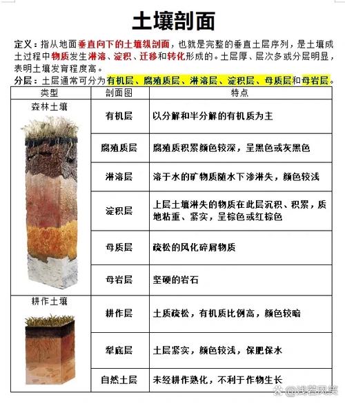 土壤分为哪三层？了解清楚对种植物帮助大！