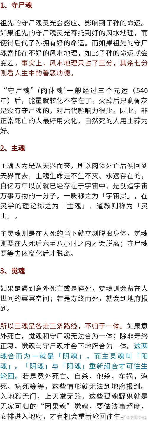 影响护魂者的命运怎么做？改变剧情的方法看这里！