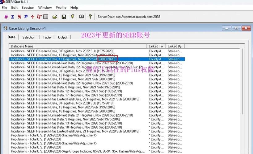 Seer夜间版怎么设置？新手也能轻松掌握Seer夜间版