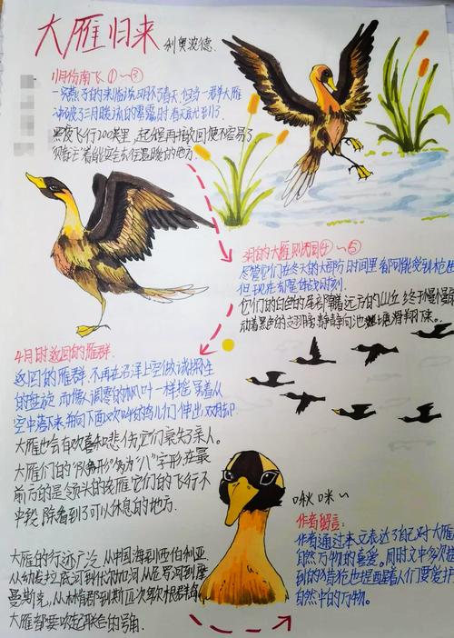 想知道小报燕无归喜欢谁吗？独家爆料满足你的好奇心！