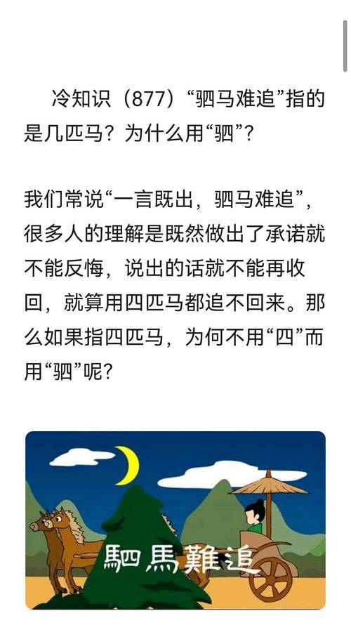 驷马的意思解释一点都不难，小学生也能看明白！