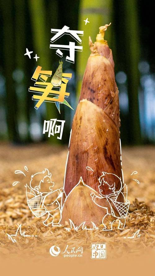 搞不懂夺笋是什么意思？一分钟快速了解夺笋的真正含义！