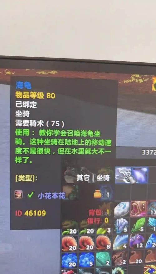 海龟坐骑哪里钓？告诉你几个高几率出货地点！