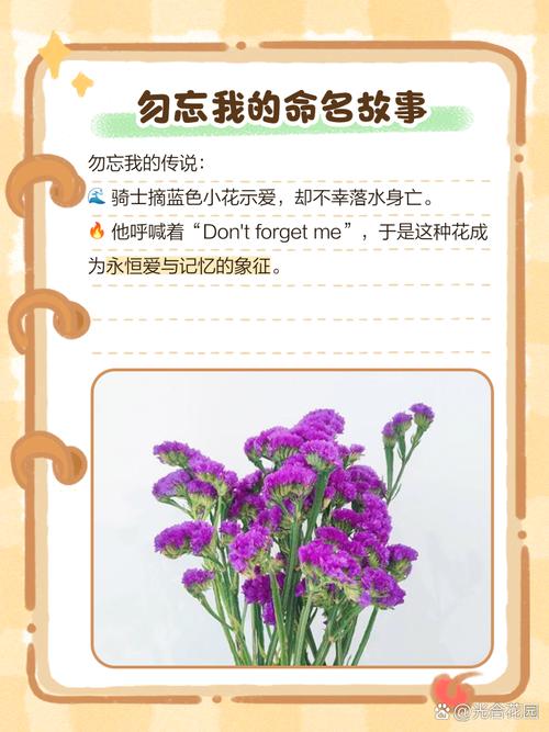 遇到勿忘我存档损坏别急！3个实用工具帮你快速恢复！