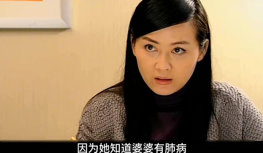 电视剧夫妻密码演员阵容谁强？(实力派主演精彩演绎)