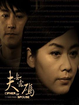 电视剧夫妻密码演员阵容谁强？(实力派主演精彩演绎)