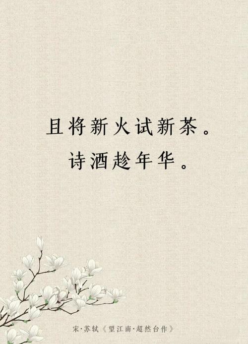 且以旧火试新茶什么意思？快速了解这个古老短语的奥秘！