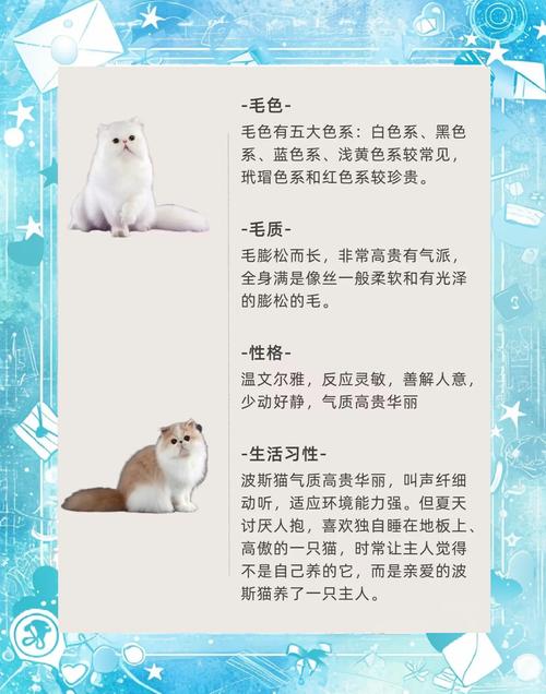 波斯猫论坛网址注册教程？新手快速上手指南！