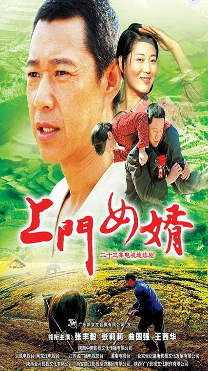 上门女婿电视剧讲什么故事(人物关系和情节深度解读！)