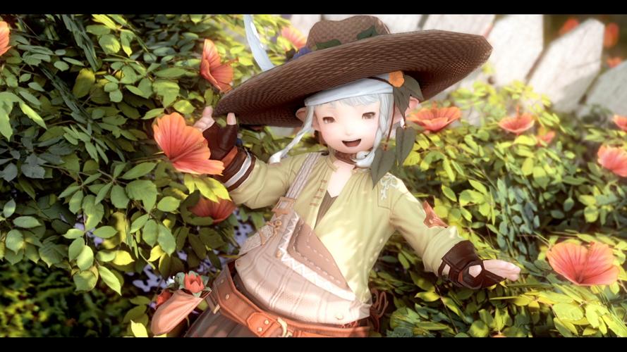 ff14susu新手入门全攻略？(从零开始快速上手教程)