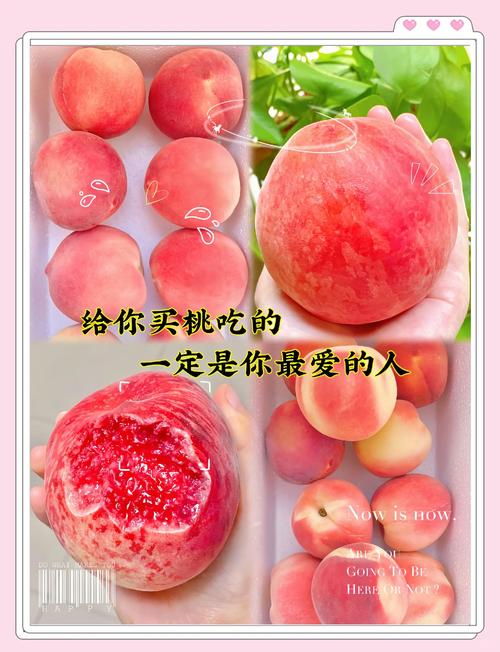 想桃子吃是啥意思别搞错？3分钟弄懂正确用法！