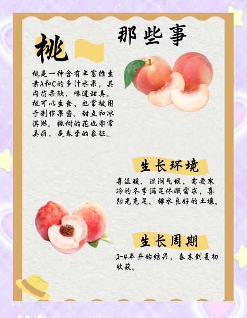 想桃子吃是啥意思别搞错？3分钟弄懂正确用法！