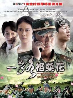 一路格桑花电视剧评价怎么样？真实观众感受分享！