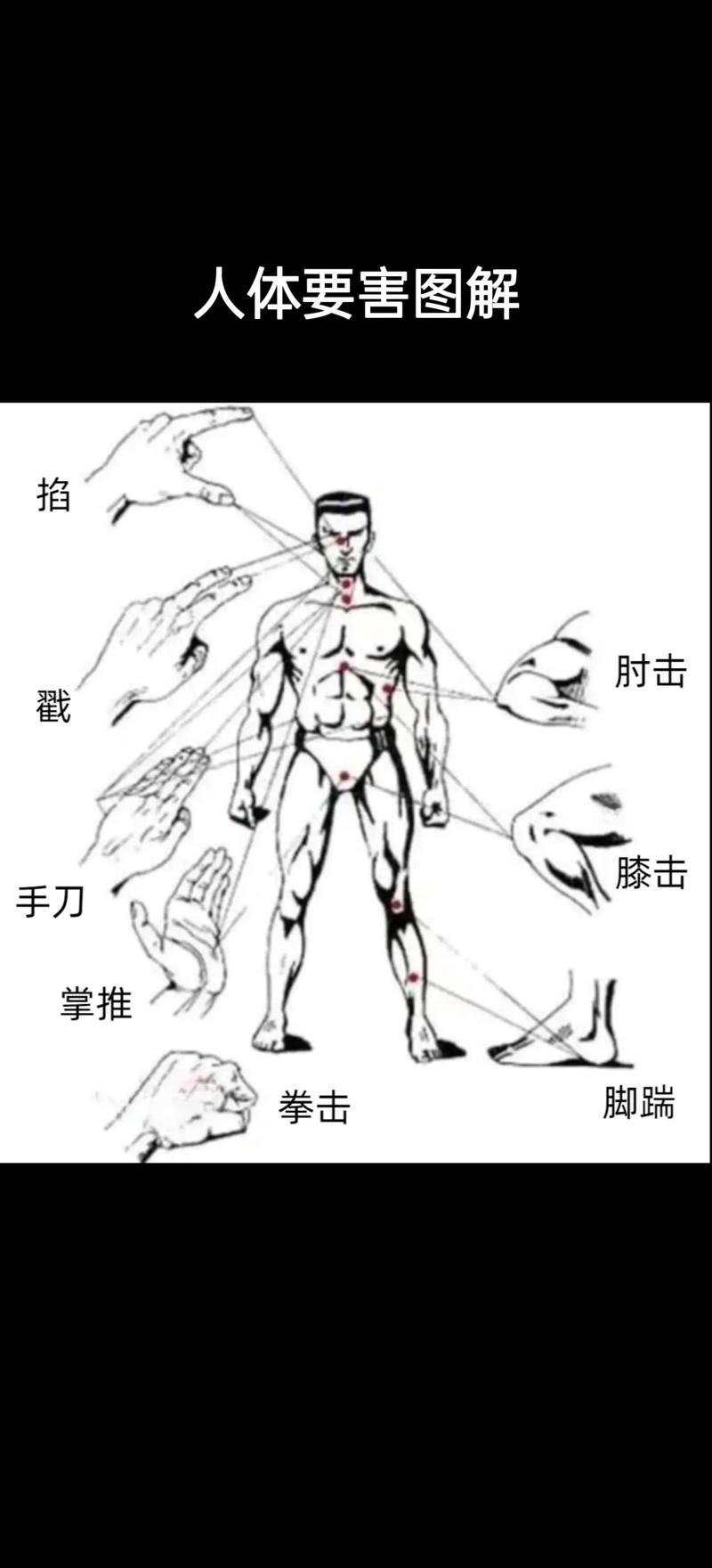 人类最强body怎么练？这5个动作简单高效易掌握！