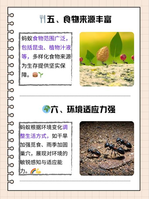 蚂蚁庄园种植物有啥讲究？新手必看这几款推荐