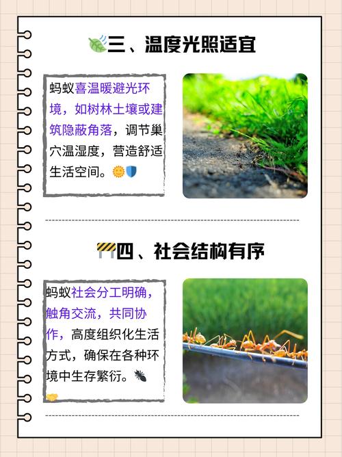 蚂蚁庄园种植物有啥讲究？新手必看这几款推荐